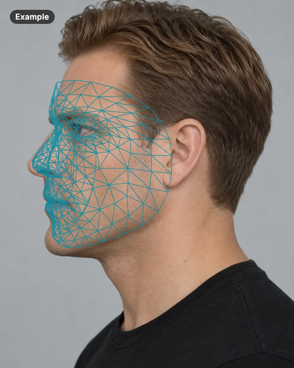 Example: an AI-generated man's face, in side profile, with the landmark mesh drawn on it as a wireframe
