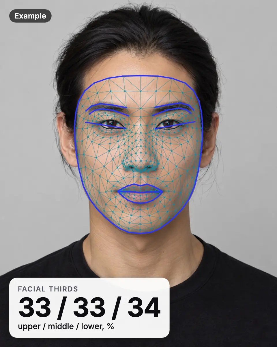 Example result: an AI-generated man's face with the landmark mesh and facial thirds of 33, 33 and 34 percent
